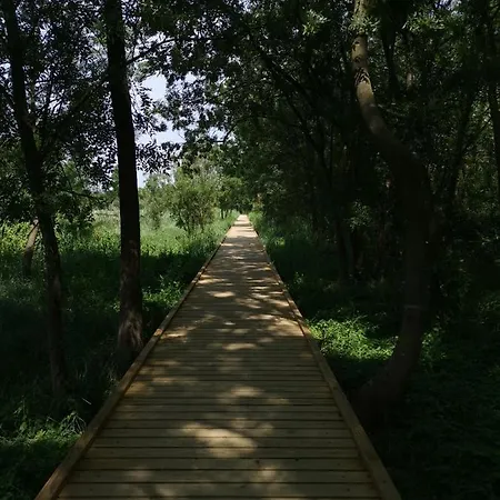 Apartma Vatovec 公寓 *