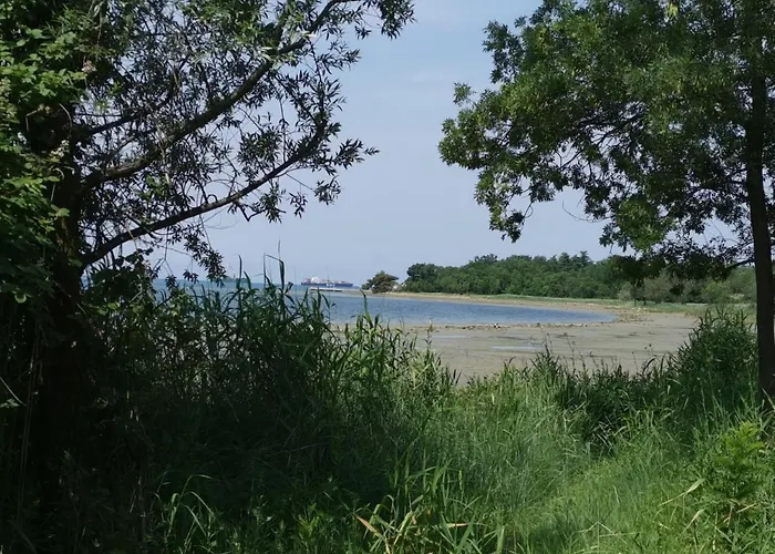 Apartma Vatovec شقة *